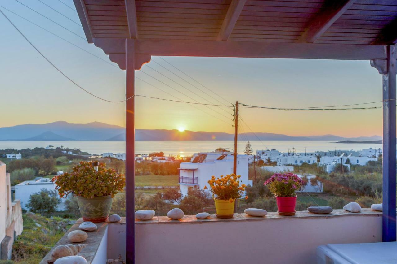 Nicki'S House Daire Agia Anna  Dış mekan fotoğraf